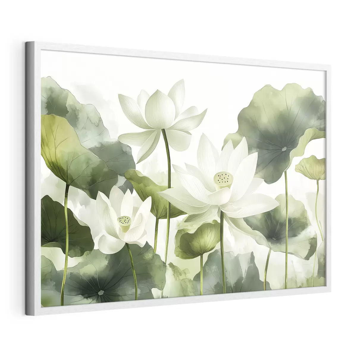Poster Belle aquarelle de fleurs de lotus f41227