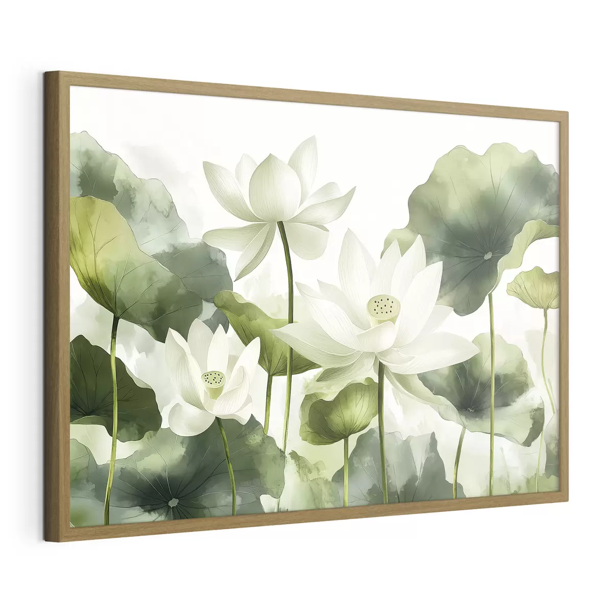 Poster Belle aquarelle de fleurs de lotus f41227