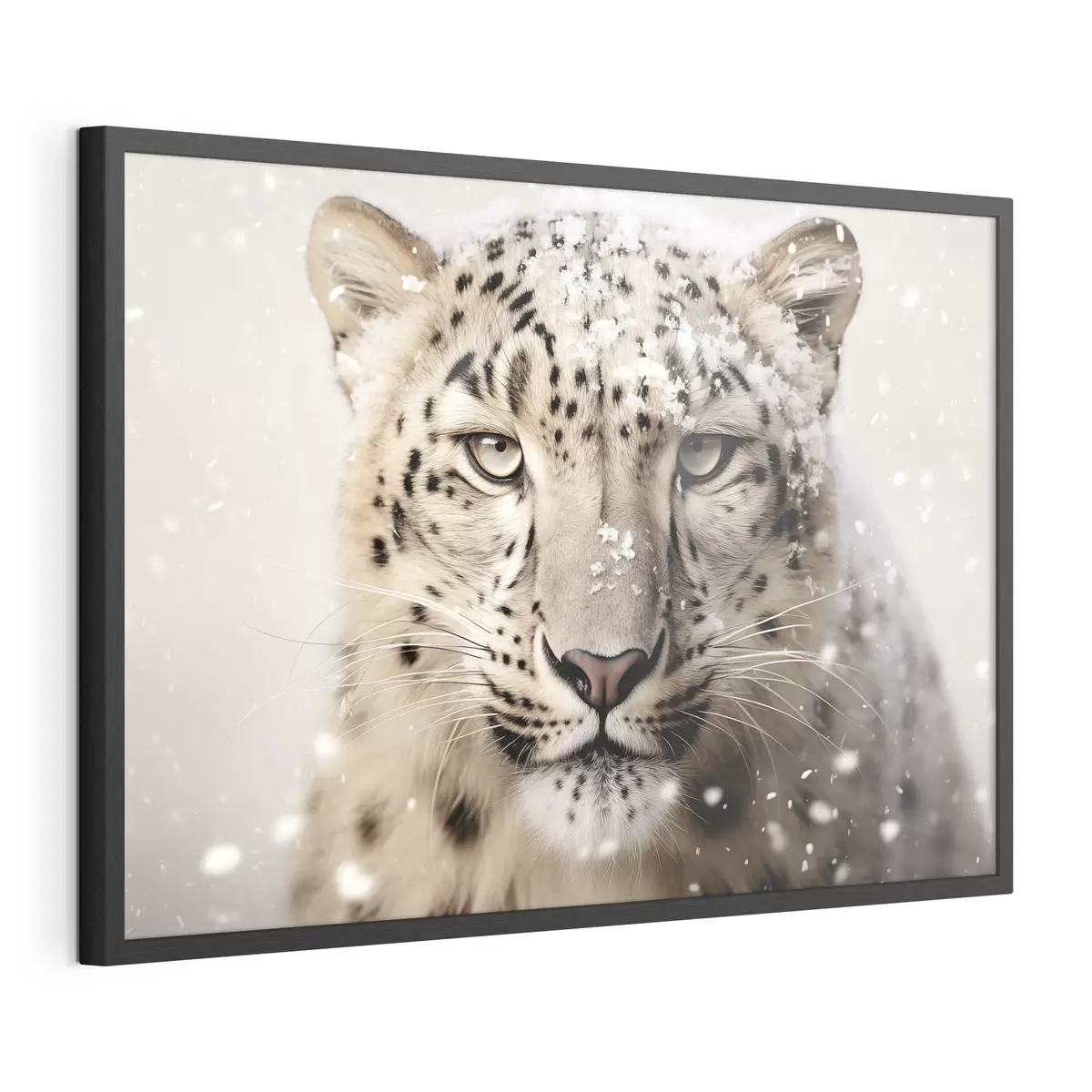 Poster Regard de neige f41434