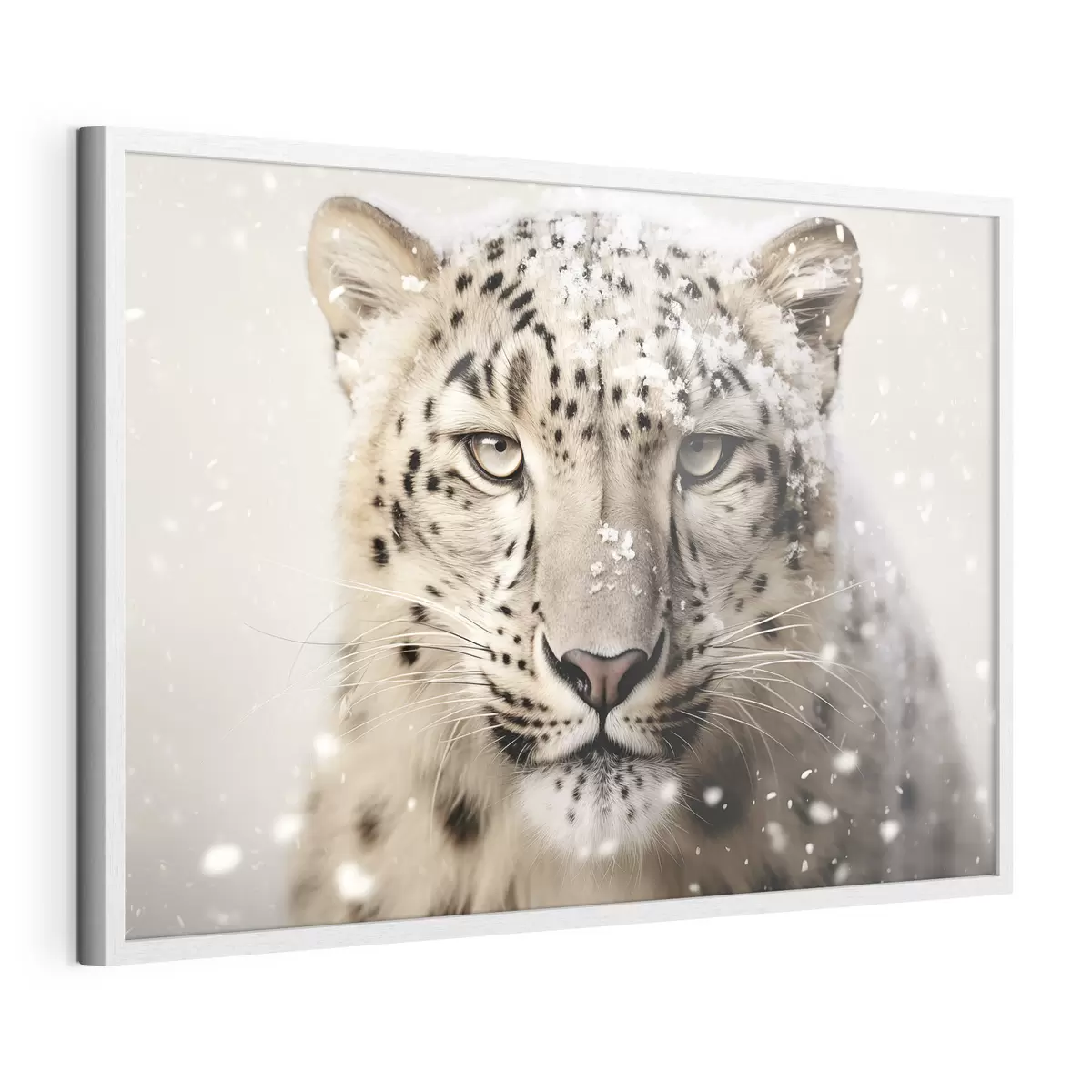 Poster Regard de neige f41434