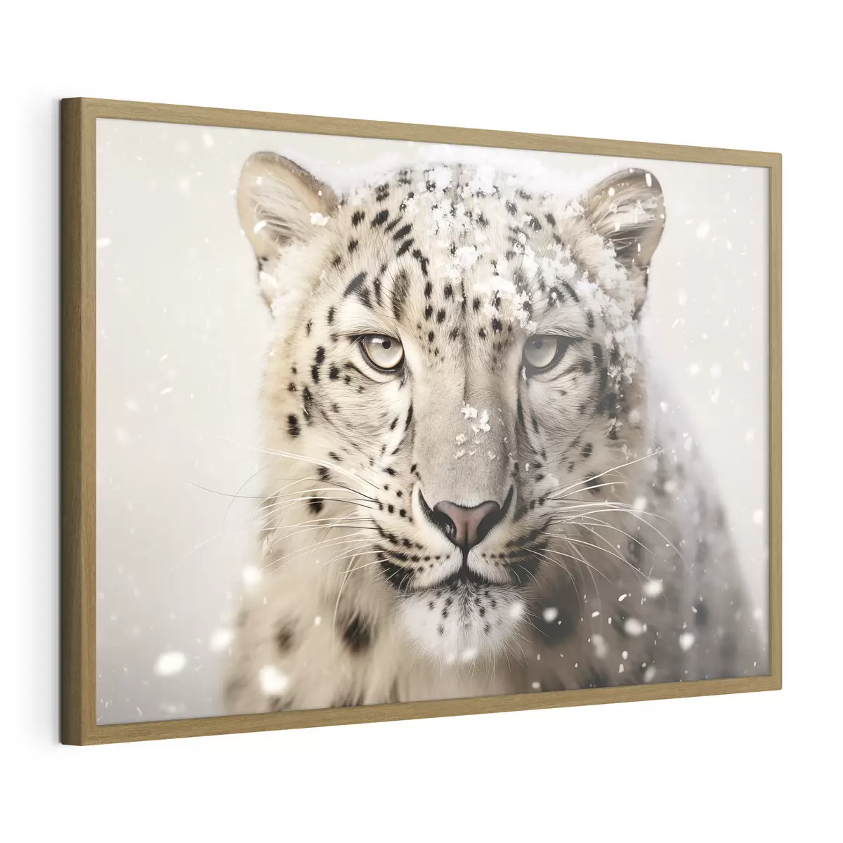 Poster Regard de neige f41434