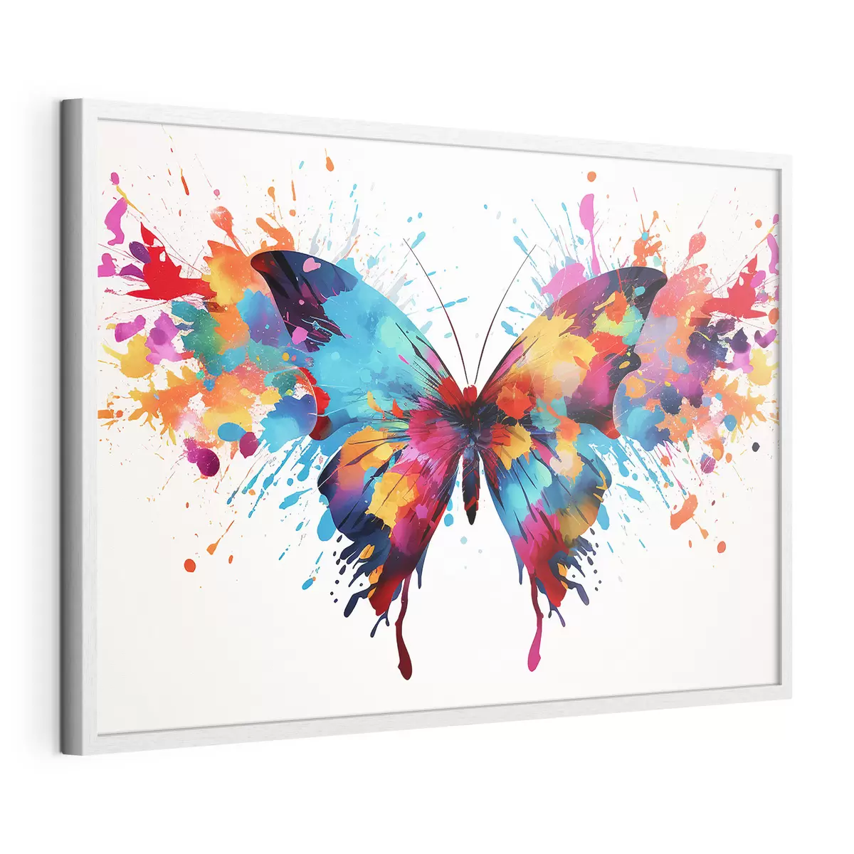 Poster Papillon en couleurs f41560