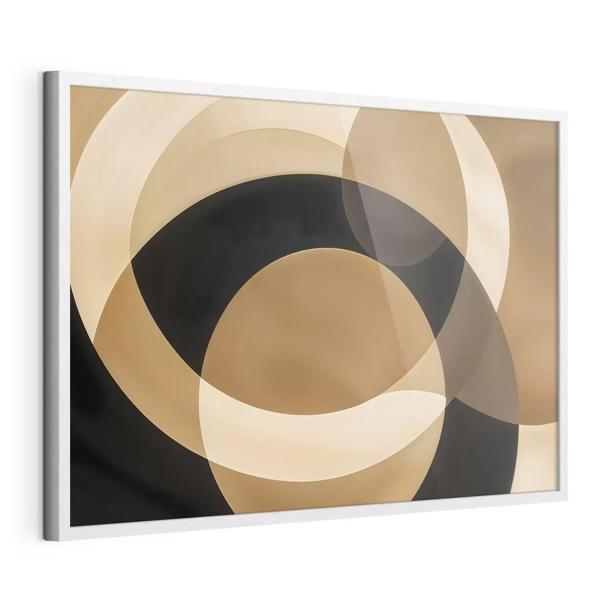 Poster Cercles et mystère f41741