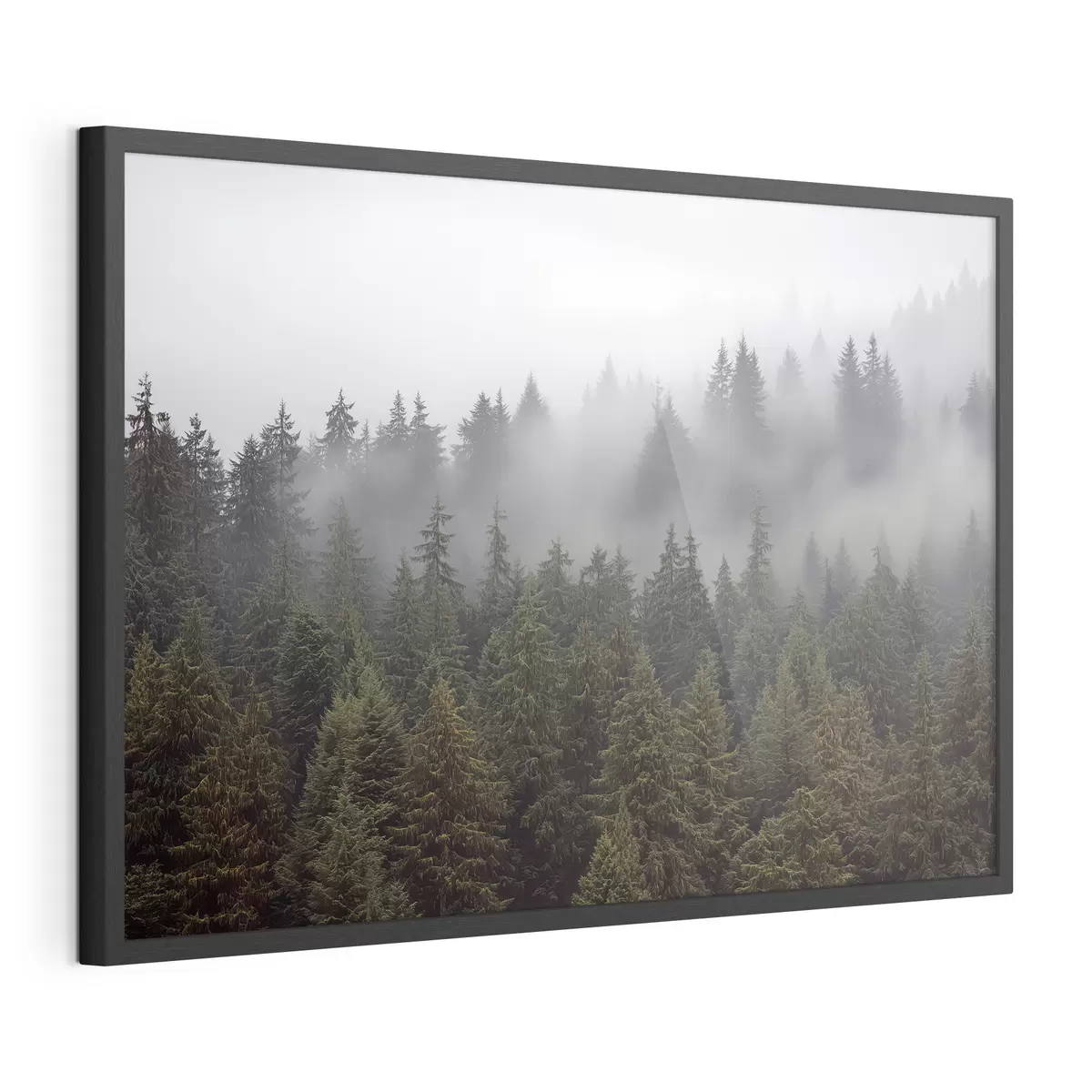 Poster Forêt dans la brume f41839