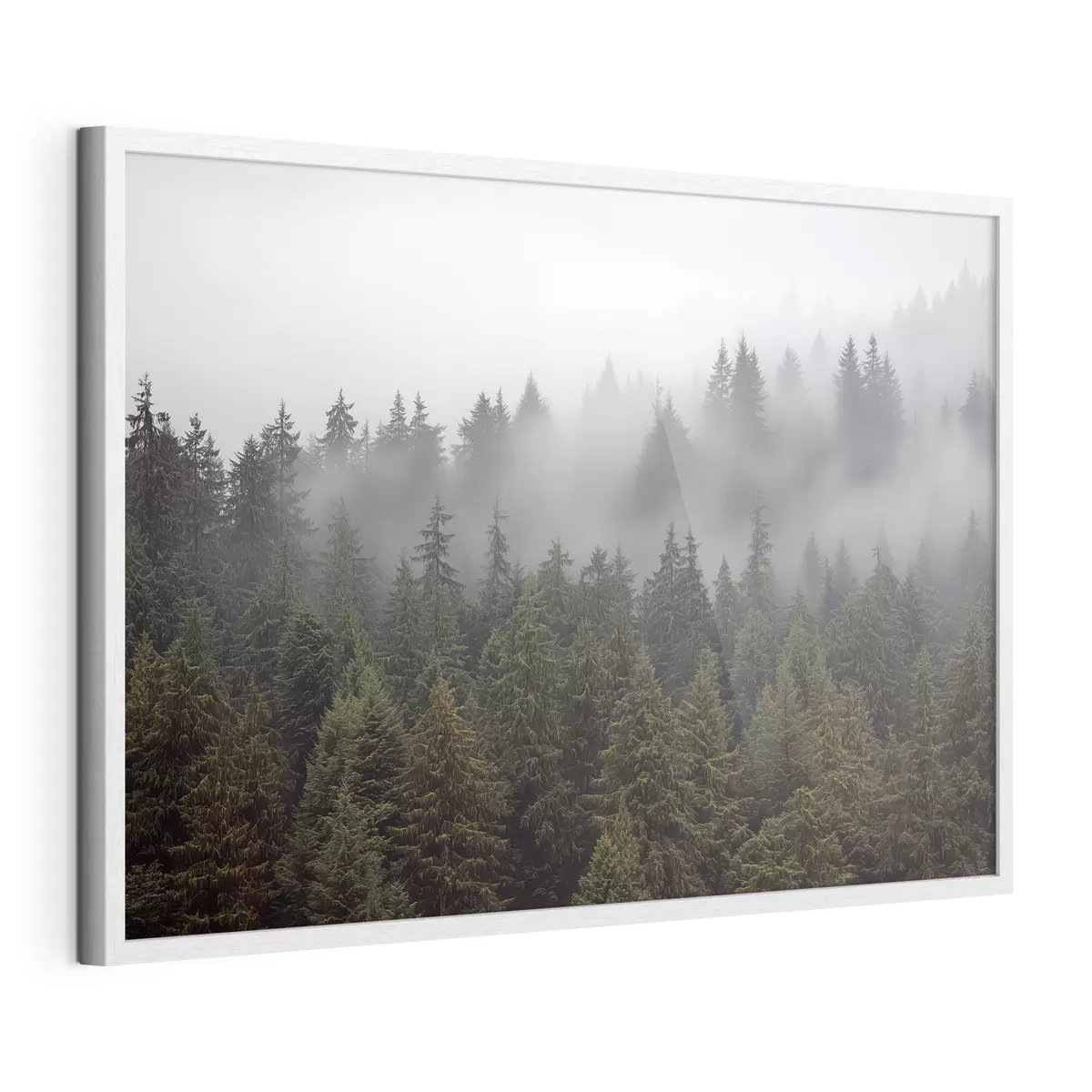 Poster Forêt dans la brume f41839