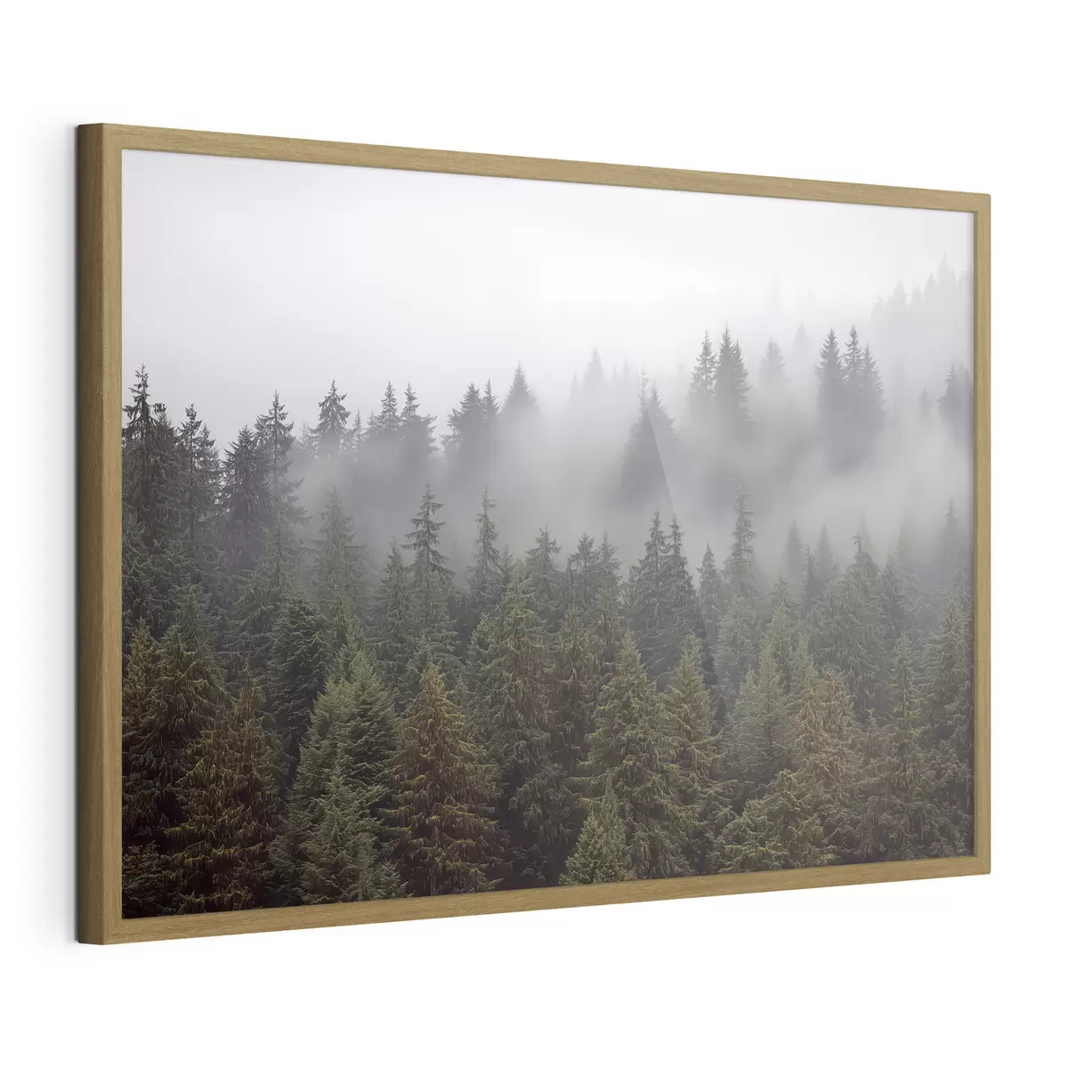 Poster Forêt dans la brume f41839