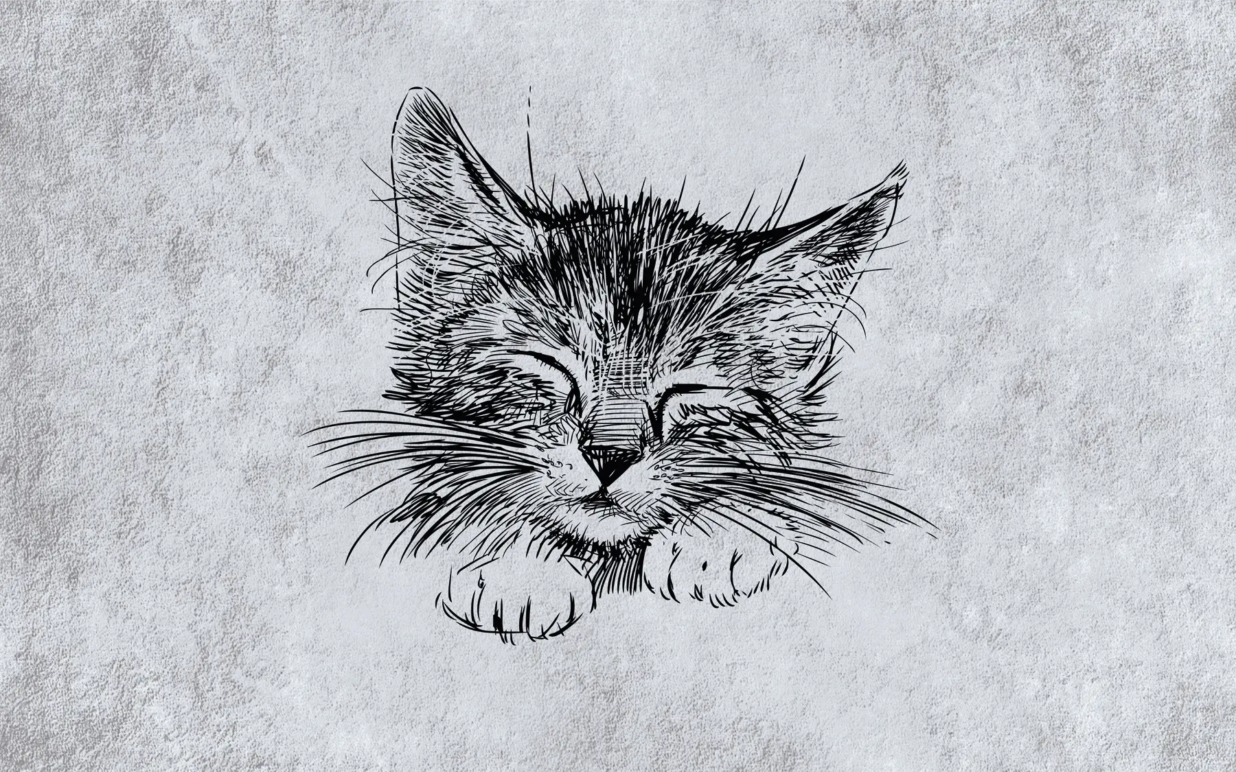 Papier peint Ciel, jour et pneu u43536