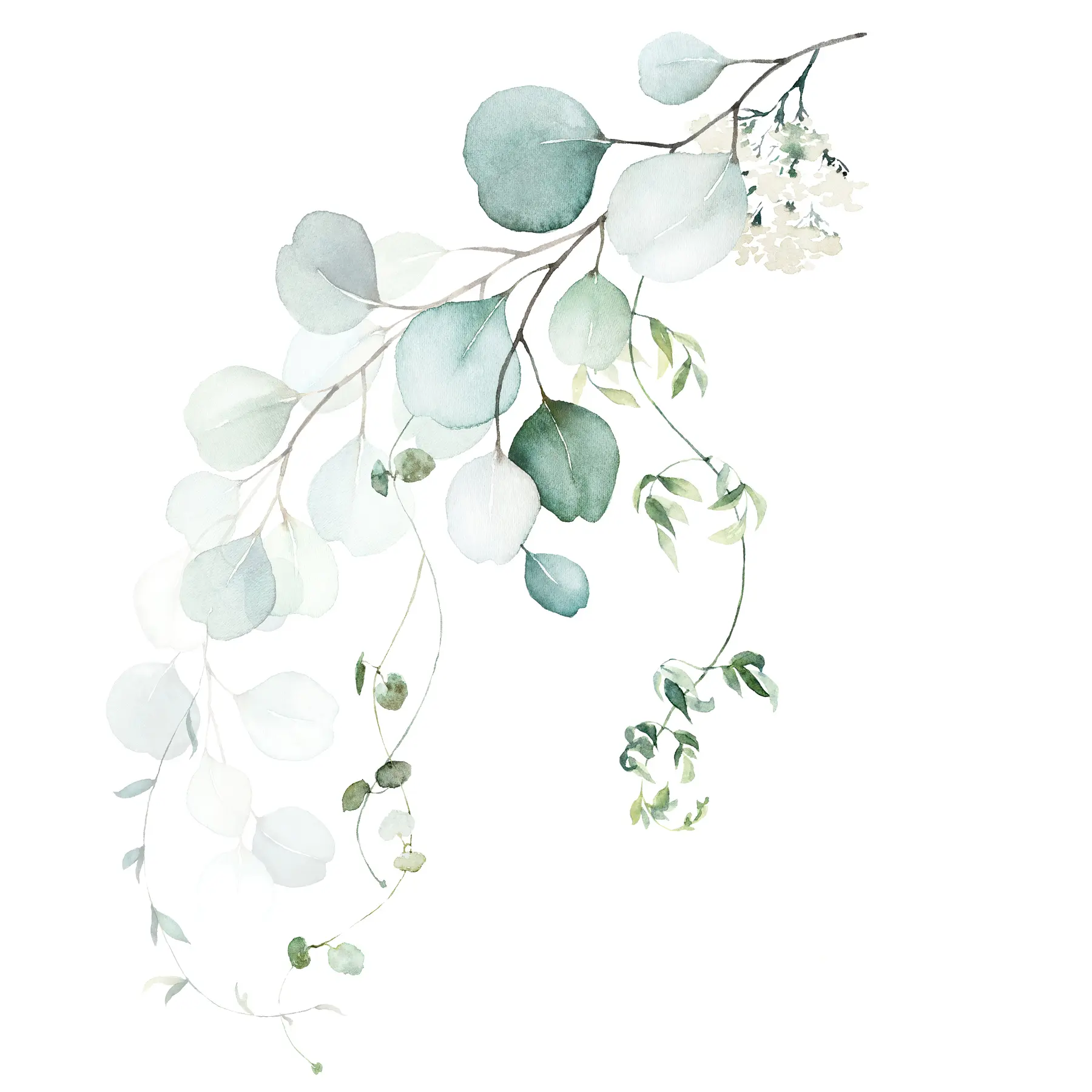 Papier peint Branche avec feuilles u51026