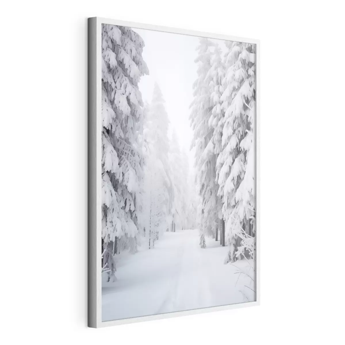 Poster Forêt d'hiver dans la neige f42153