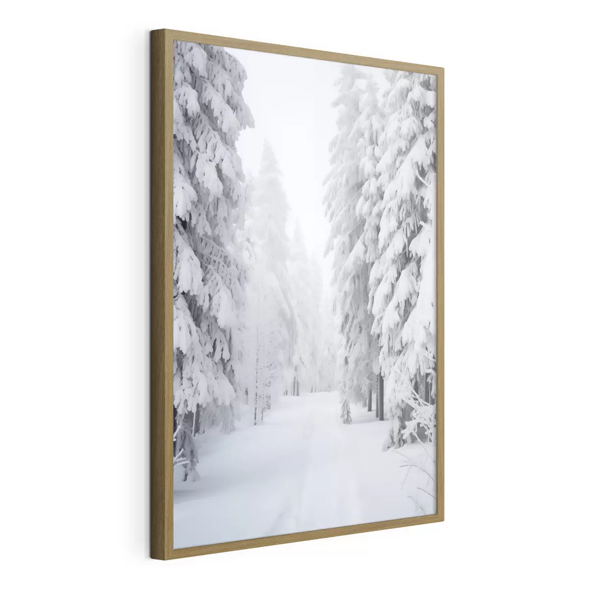 Poster Forêt d'hiver dans la neige f42153