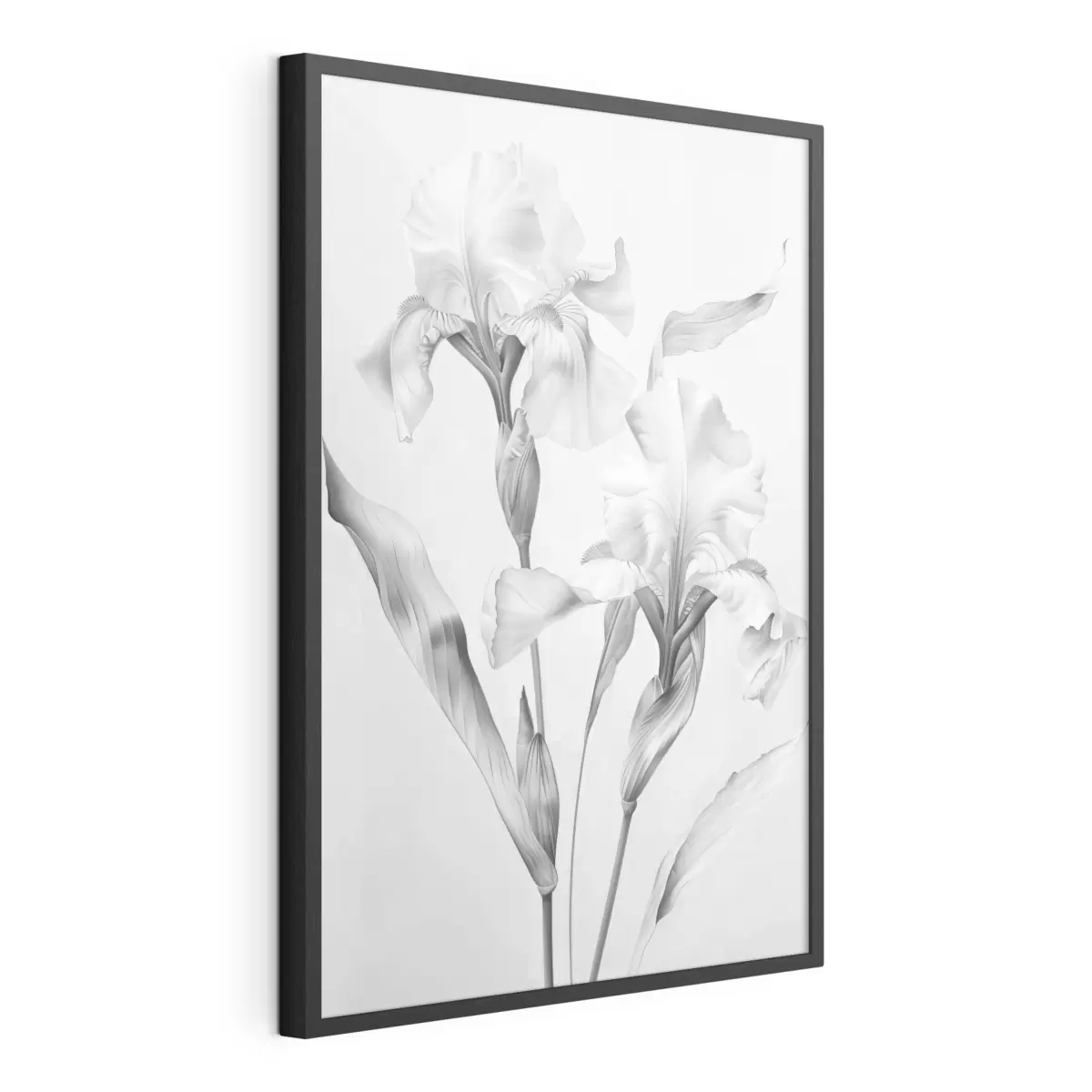 Poster Iris élégants dans les tons noirs et blancs f42171