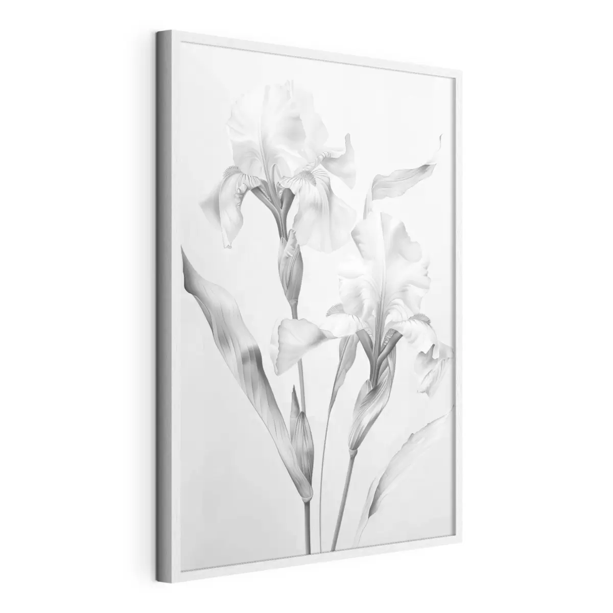 Poster Iris élégants dans les tons noirs et blancs f42171