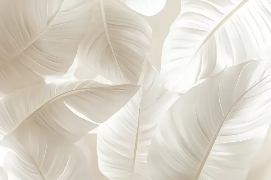 Papier peint Grandes feuilles délicates w08565