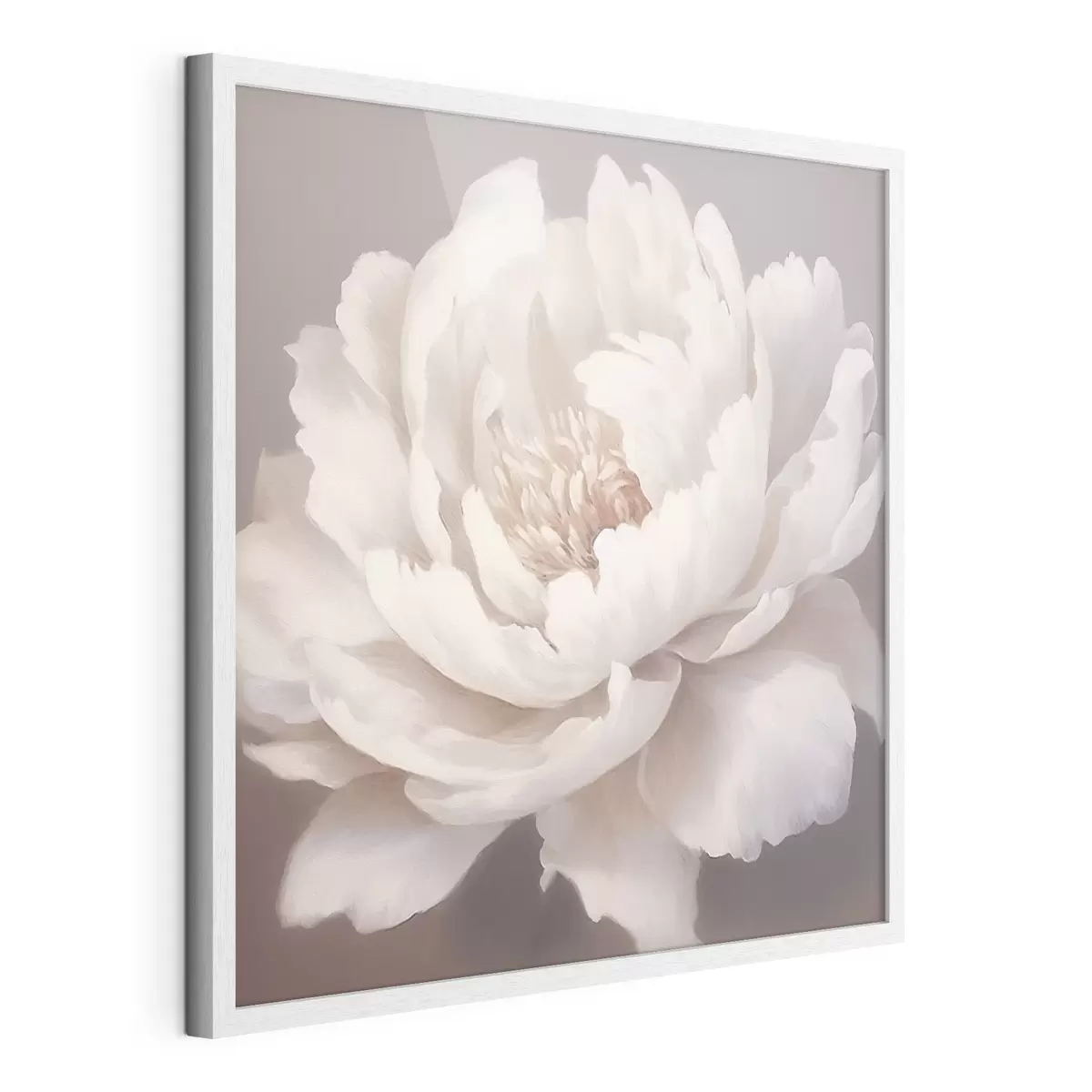 Poster Grande pivoine blanche f42637