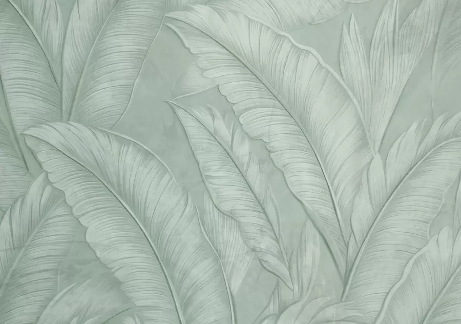 Papier peint Grandes feuilles tropicales détaillées et hautement texturées dans une couleur verte monochromatique de style loft  w08772v1