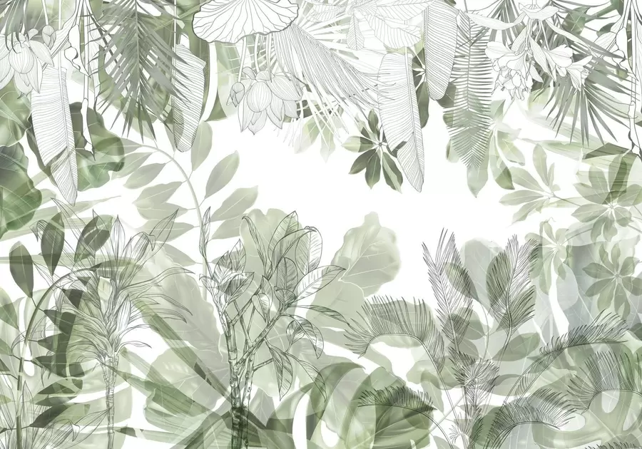 Papier peint Imprimé de la jungle verte, plantes et feuilles tropicales sur fond blanc w08823