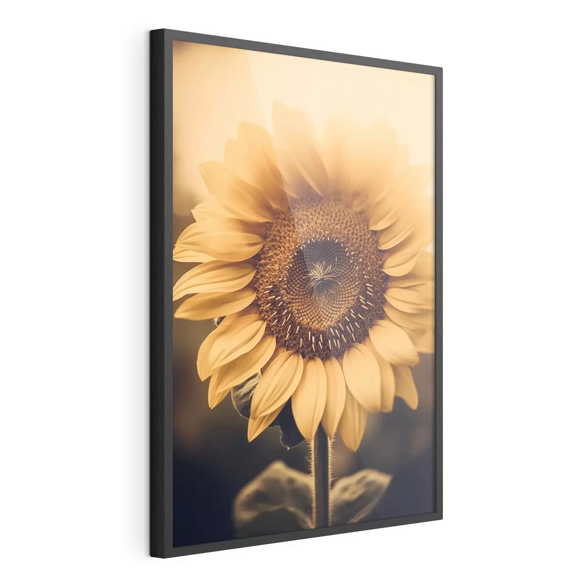 Poster Tournesol f43012