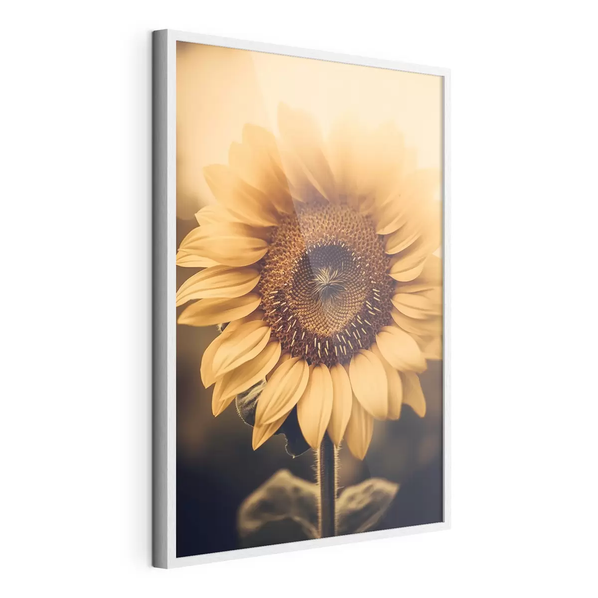 Poster Tournesol f43012