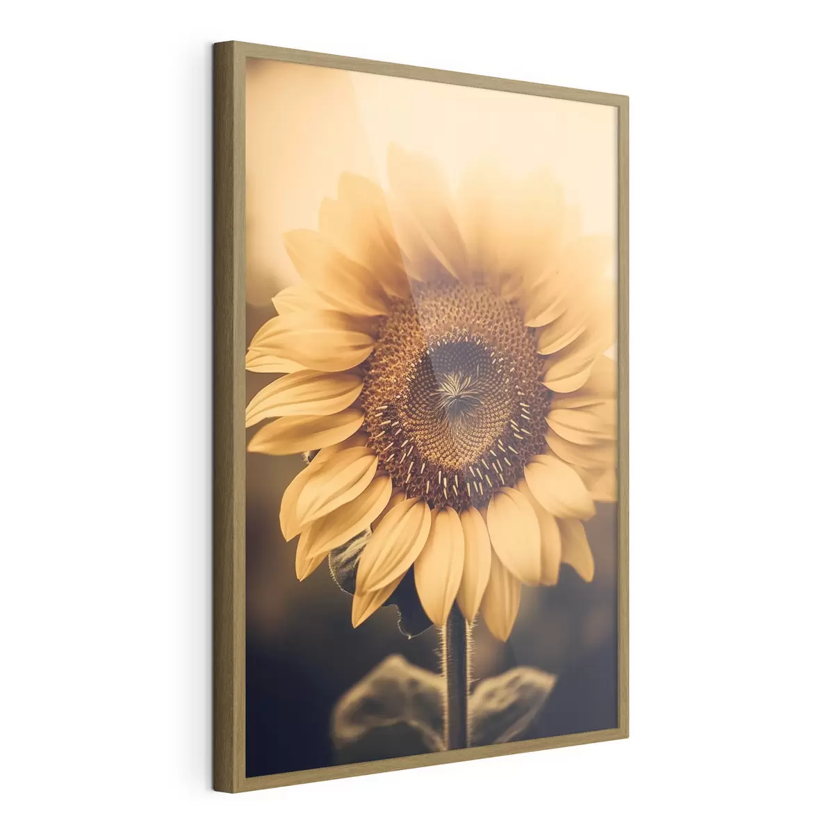 Poster Tournesol f43012