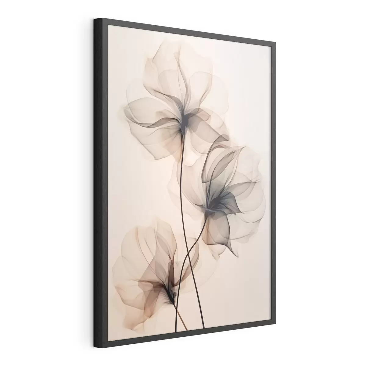 Poster Trio de fleurs transparentes f43015