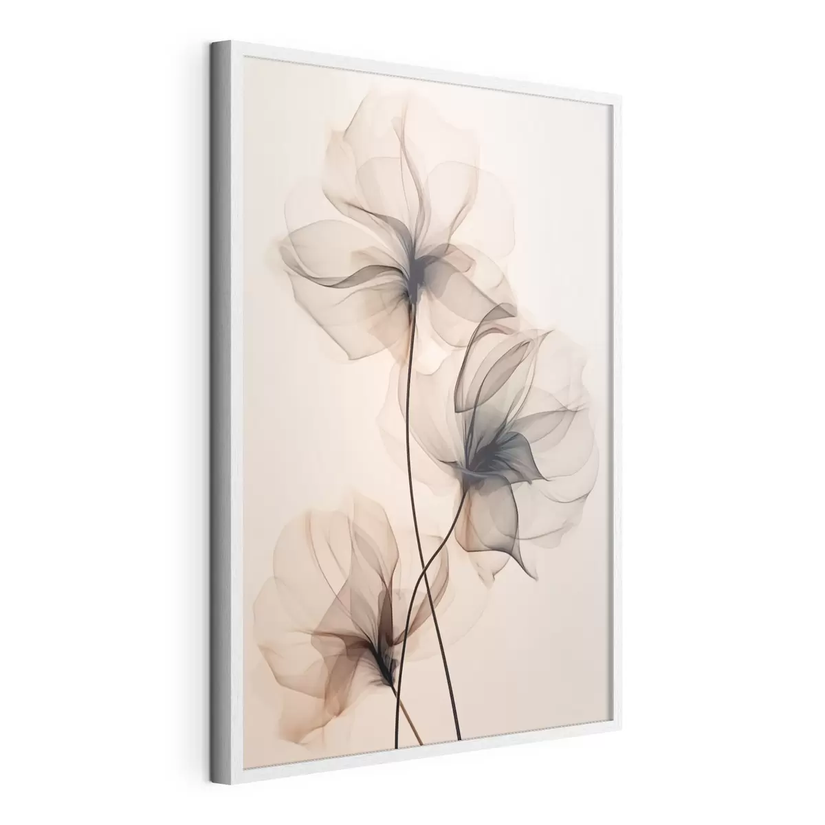 Poster Trio de fleurs transparentes f43015