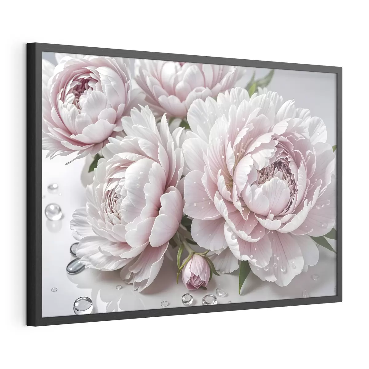Poster Pivoines roses pâles et blanches avec des gouttes d'eau sur les pétales, le fond est une surface blanche f43158