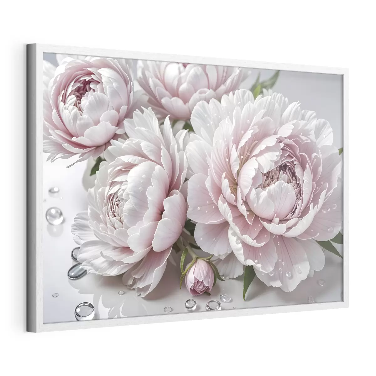 Poster Pivoines roses pâles et blanches avec des gouttes d'eau sur les pétales, le fond est une surface blanche f43158