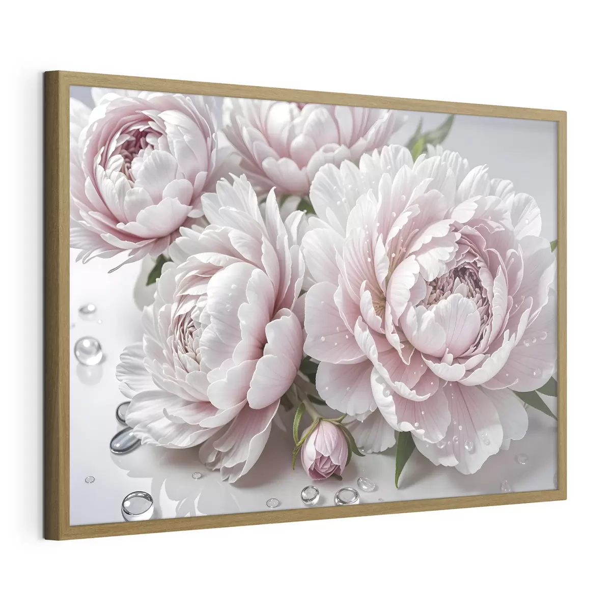 Poster Pivoines roses pâles et blanches avec des gouttes d'eau sur les pétales, le fond est une surface blanche f43158