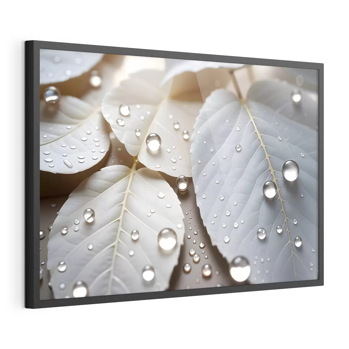 Poster Rosée sur le blanc f43159