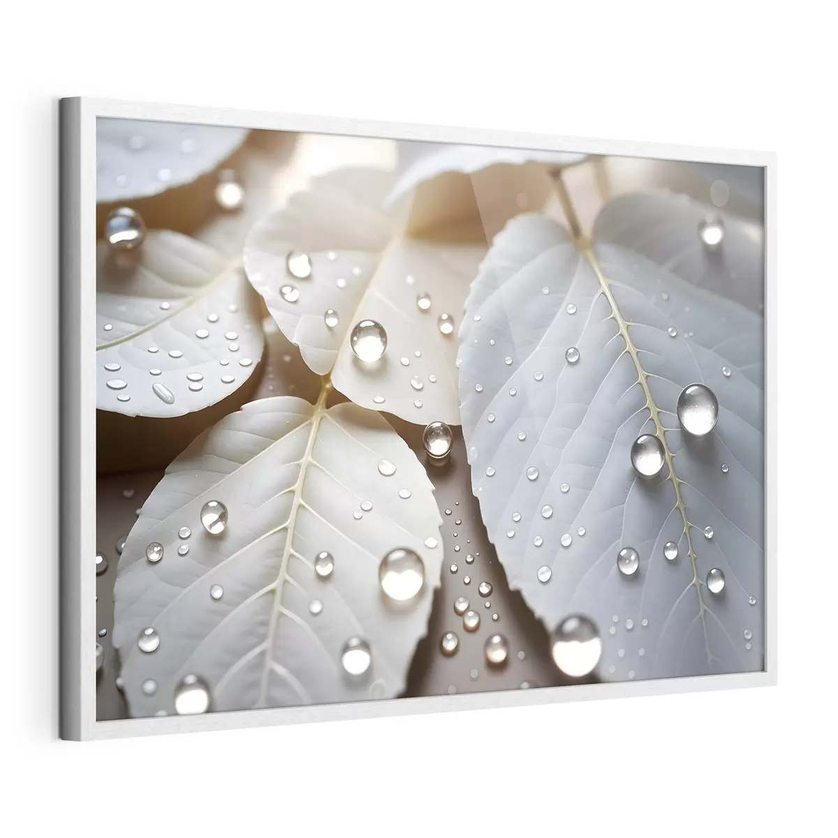 Poster Rosée sur le blanc f43159