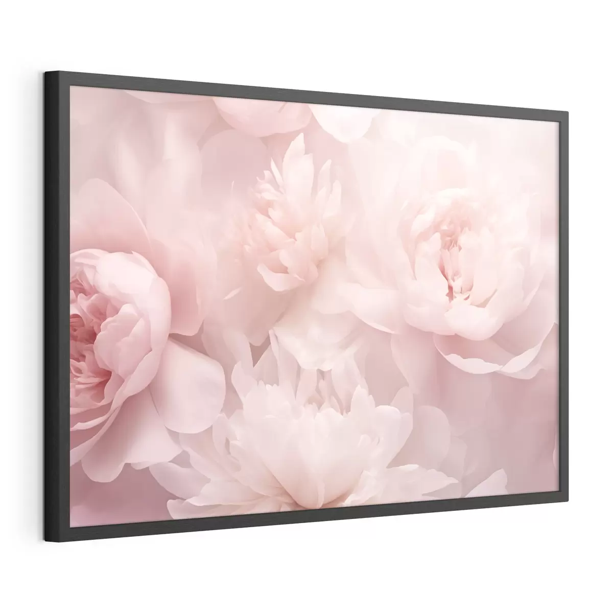 Poster Pivoines f43429