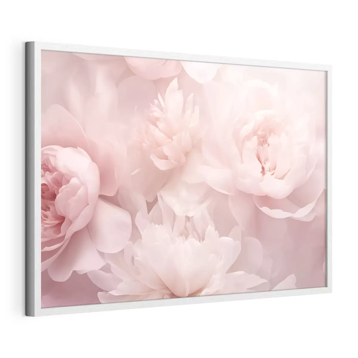 Poster Pivoines f43429