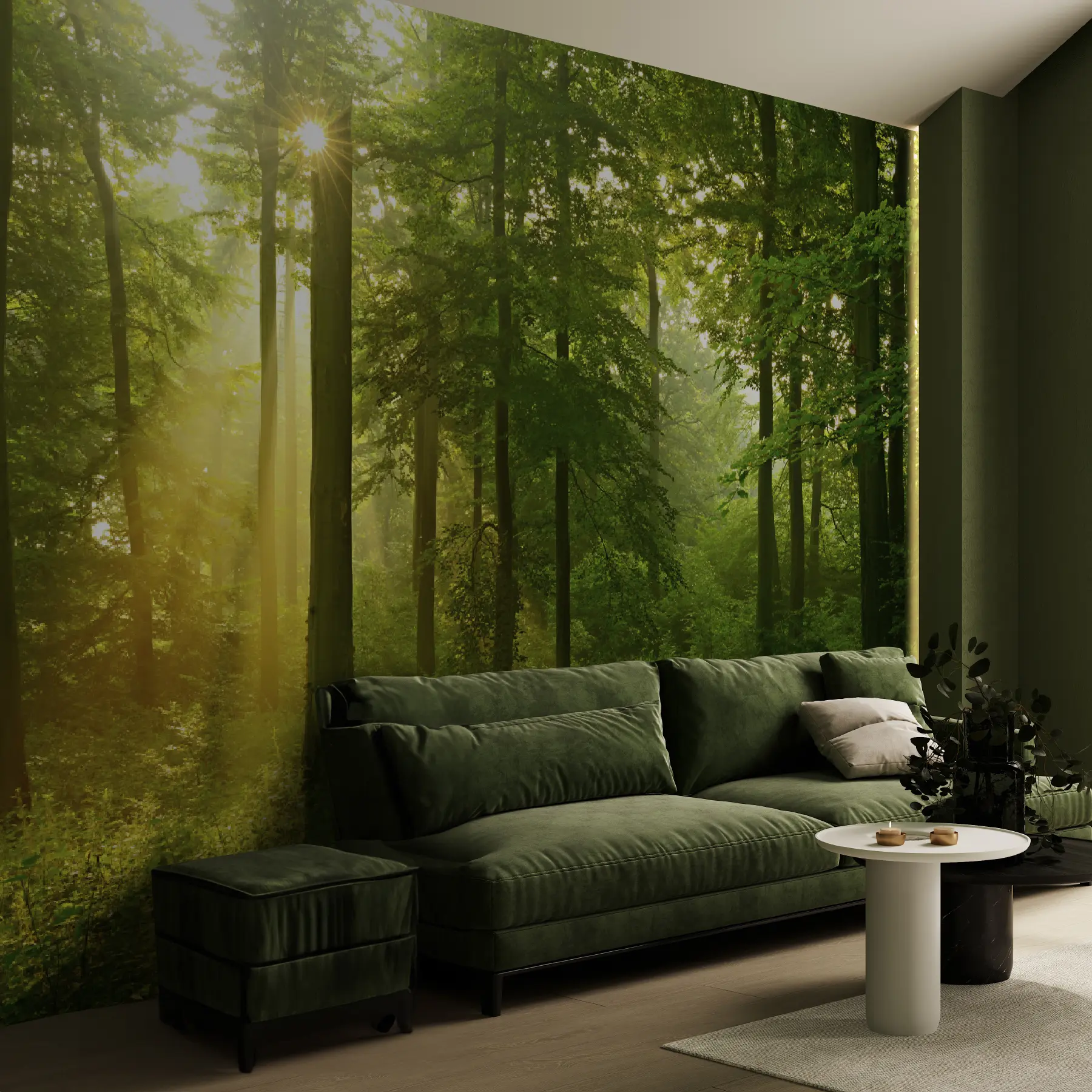 Papier peint Silence dans la forêt ensoleillée u57295