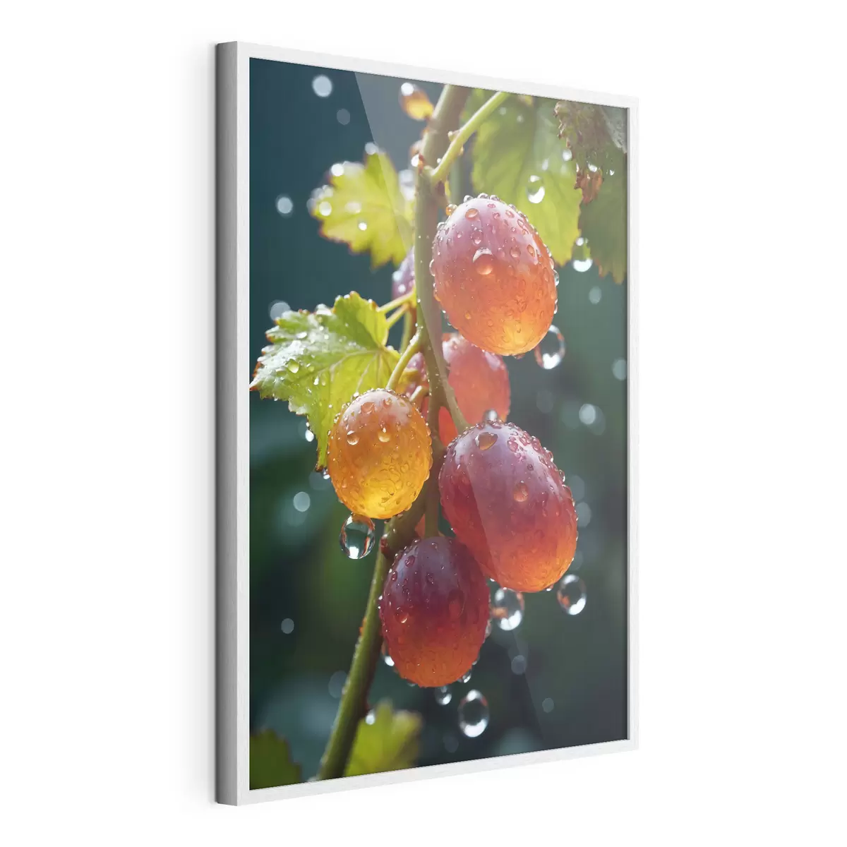 Poster Raisins avec gouttes de rosée f43872
