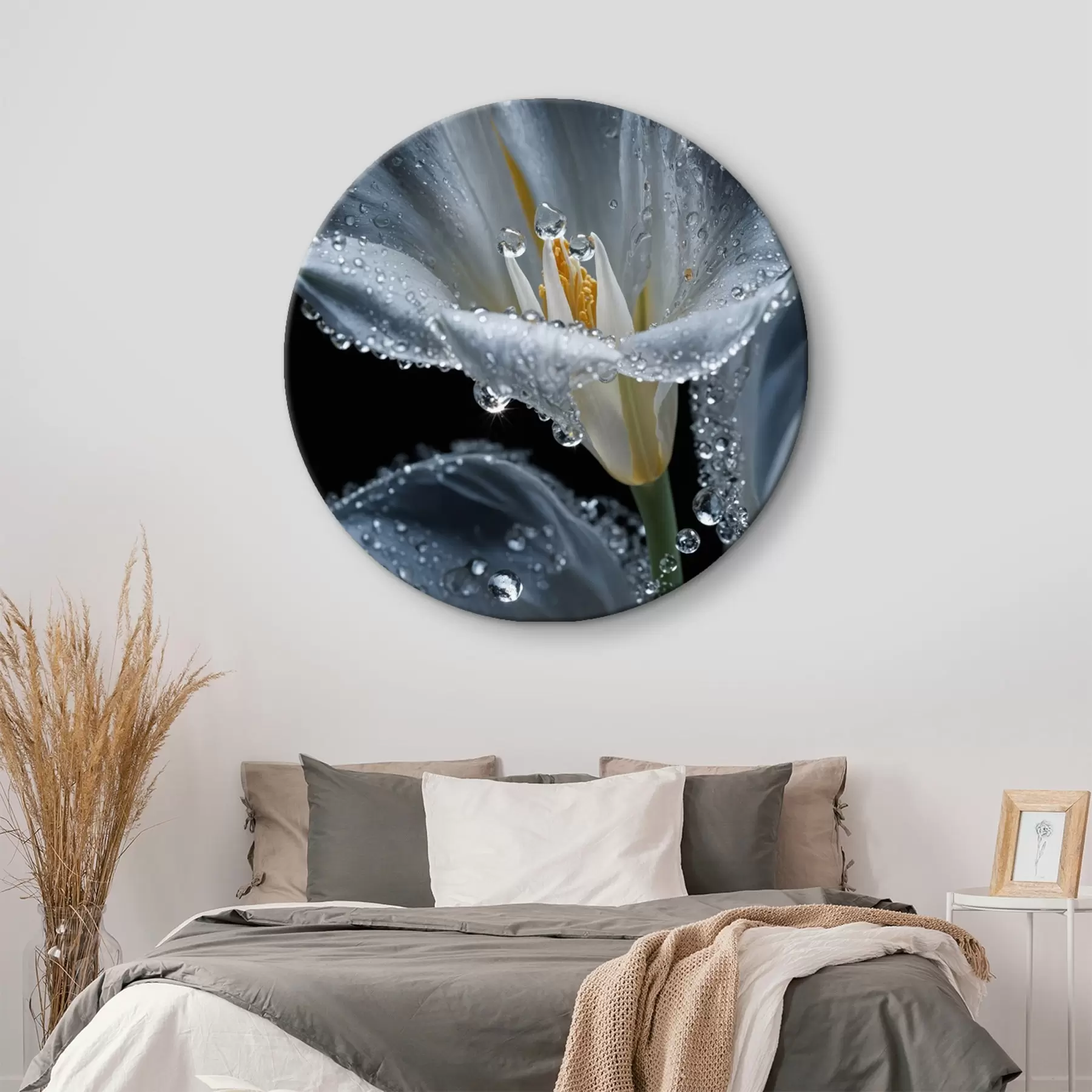 Tableau Fleur transparente sur fond noir r44479