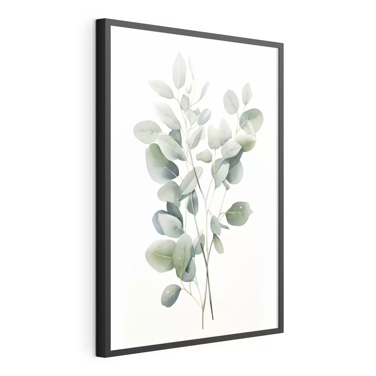 Poster Eucalyptus f44676