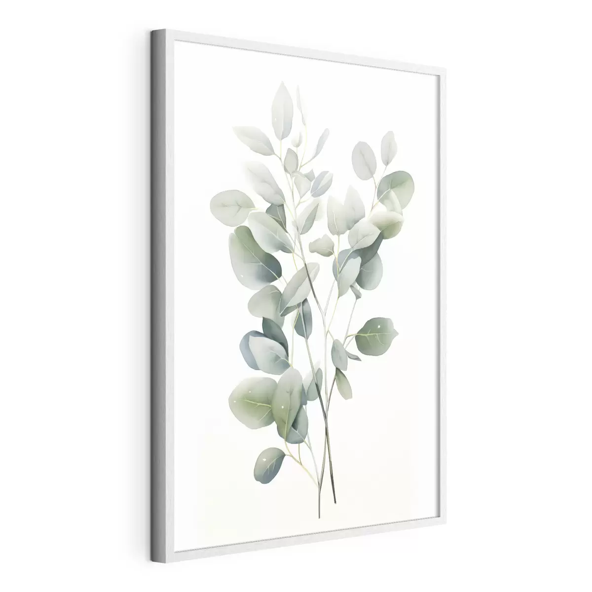 Poster Eucalyptus f44676