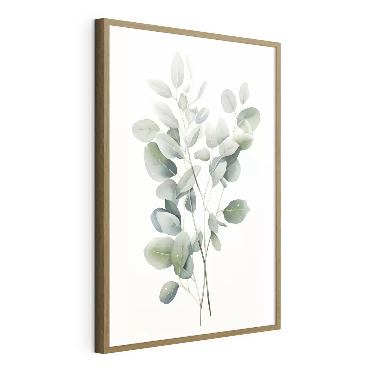 Poster Eucalyptus f44676