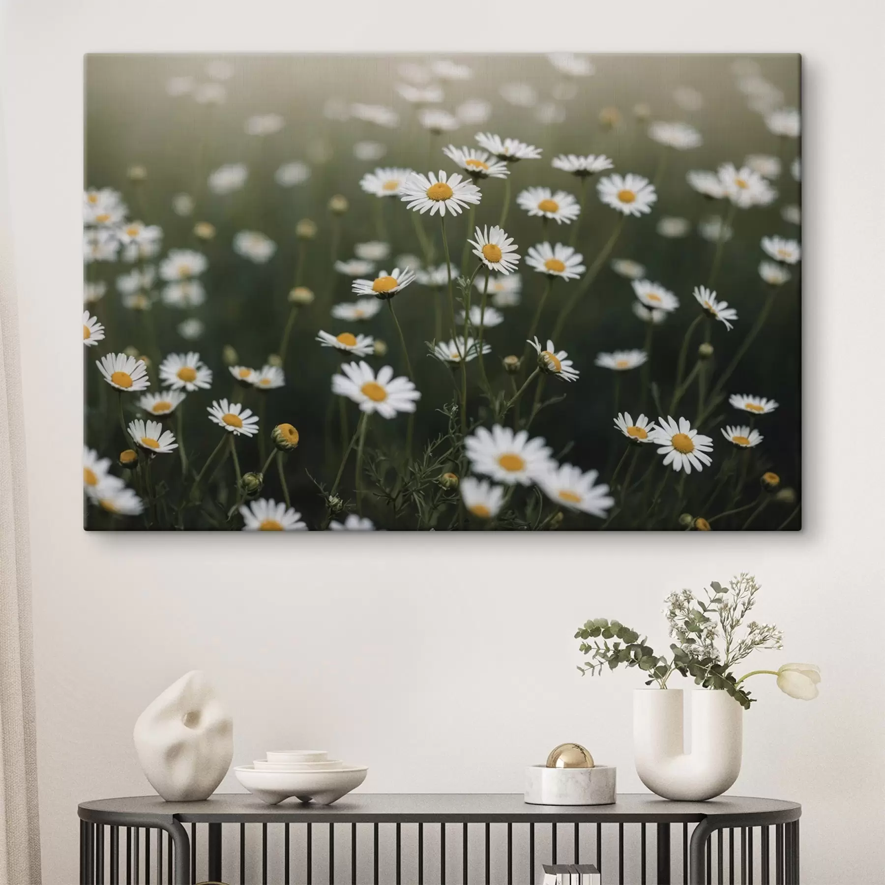 Papier peint Champ de marguerites sur fond vert flou s44898