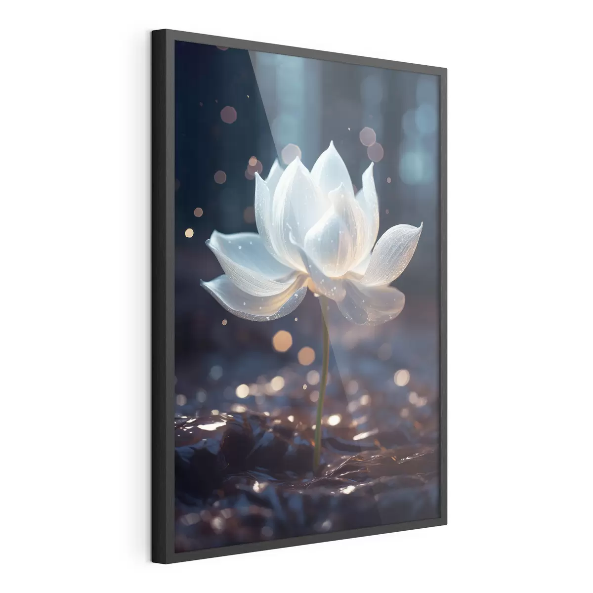 Poster Lotus frais : composition de fleurs sur fond sombre f45530