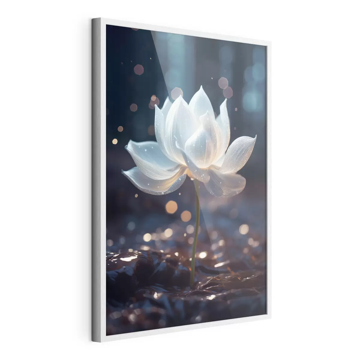Poster Lotus frais : composition de fleurs sur fond sombre f45530