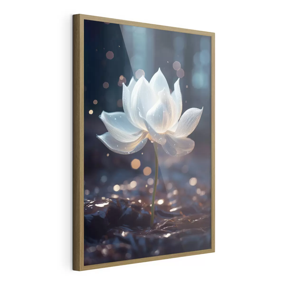 Poster Lotus frais : composition de fleurs sur fond sombre f45530