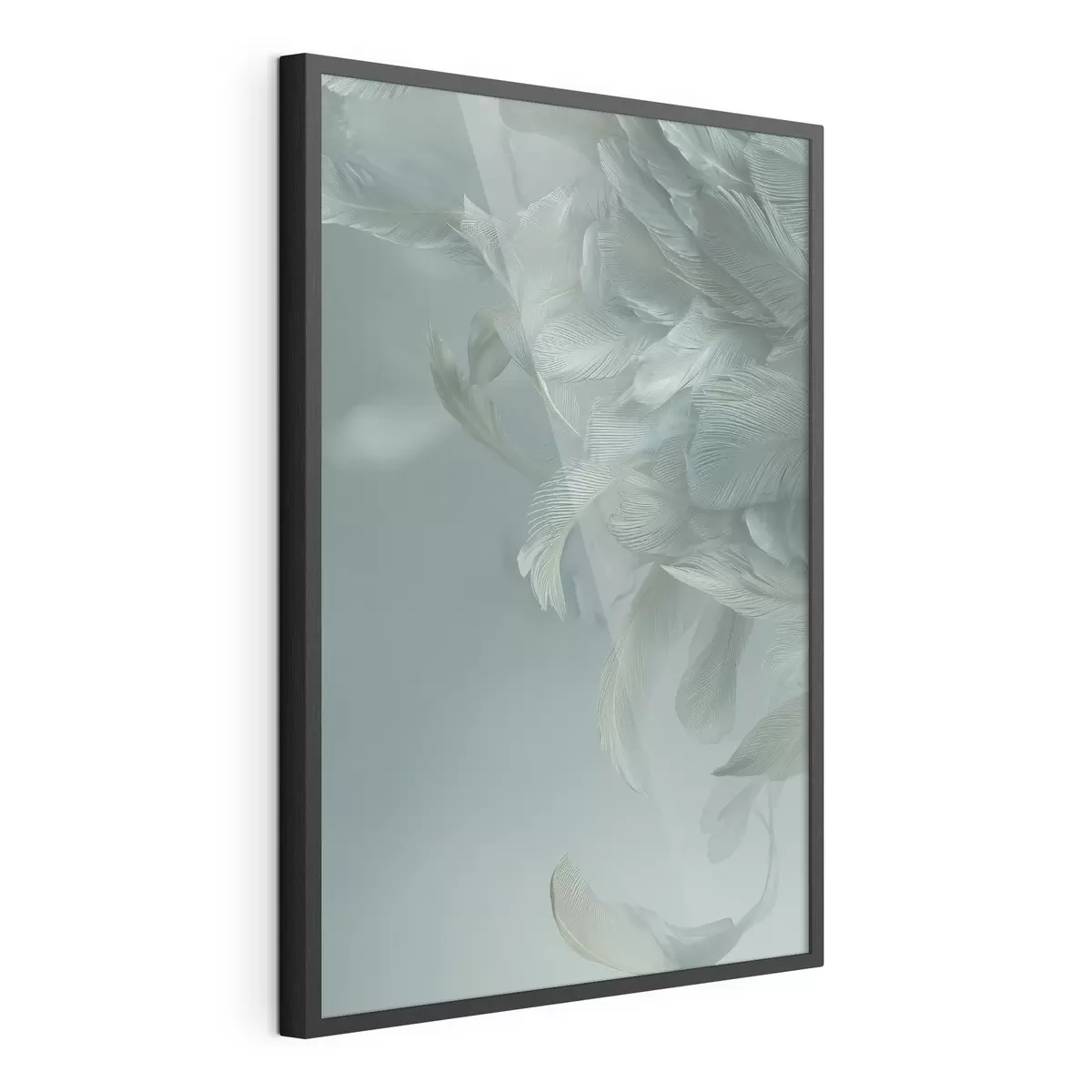 Poster Plumes et envol f45708