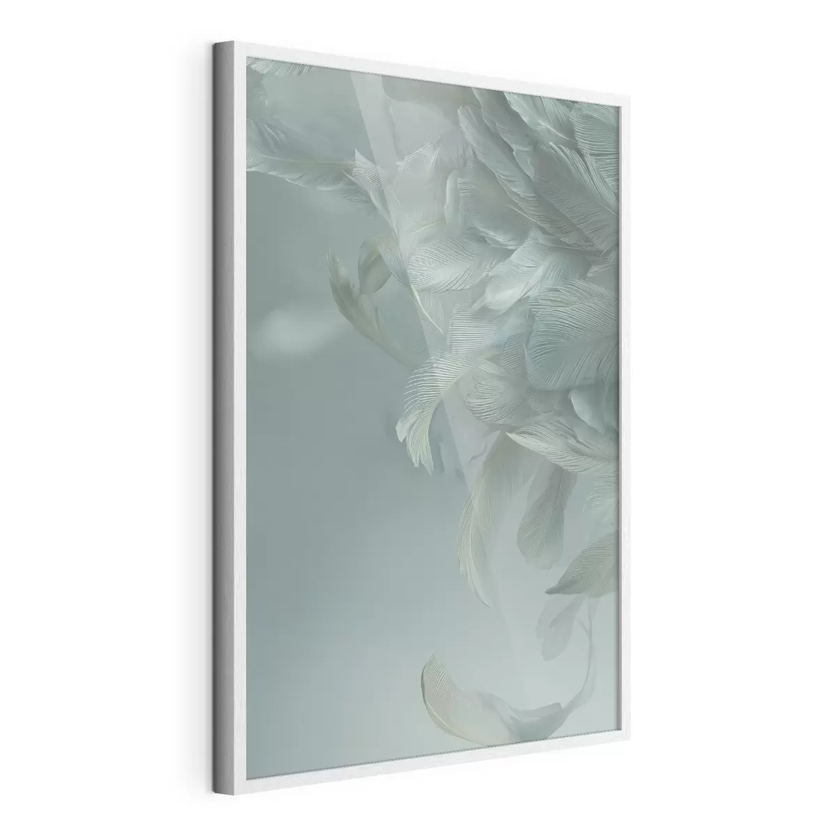 Poster Plumes et envol f45708