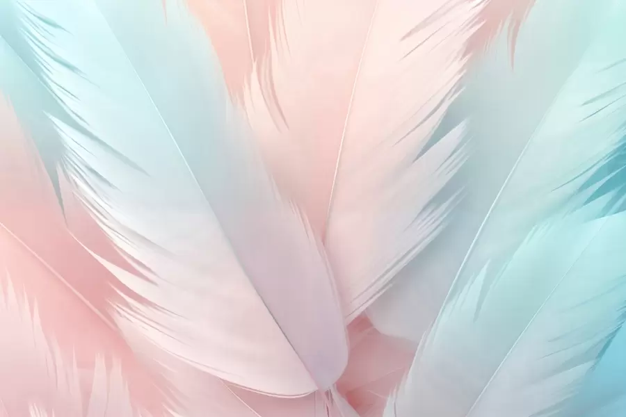 Papier peint Plumes w04808