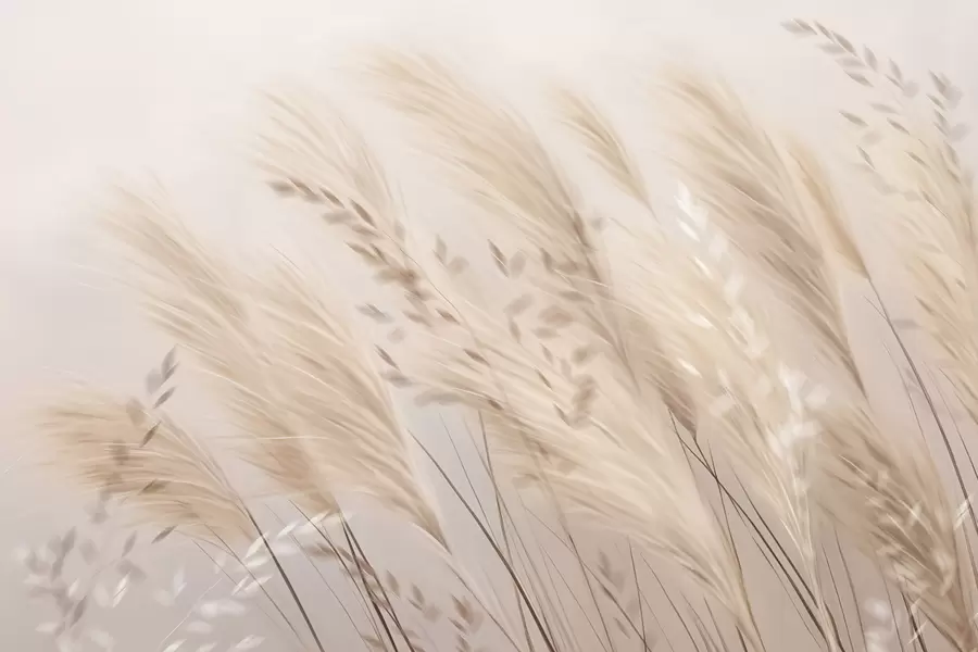 Papier peint Pampa w04849