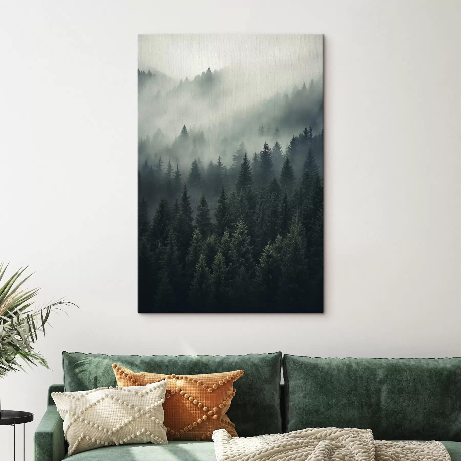 Papier peint Brouillard roulant sur une forêt dense à feuilles persistantes s46512