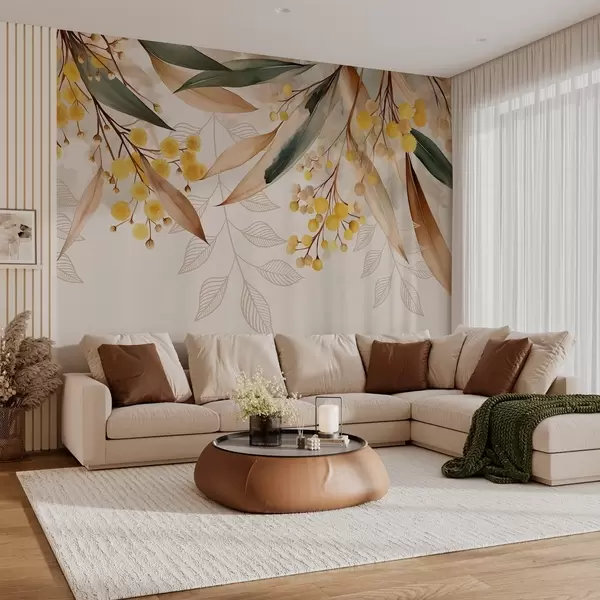 Dernières créations