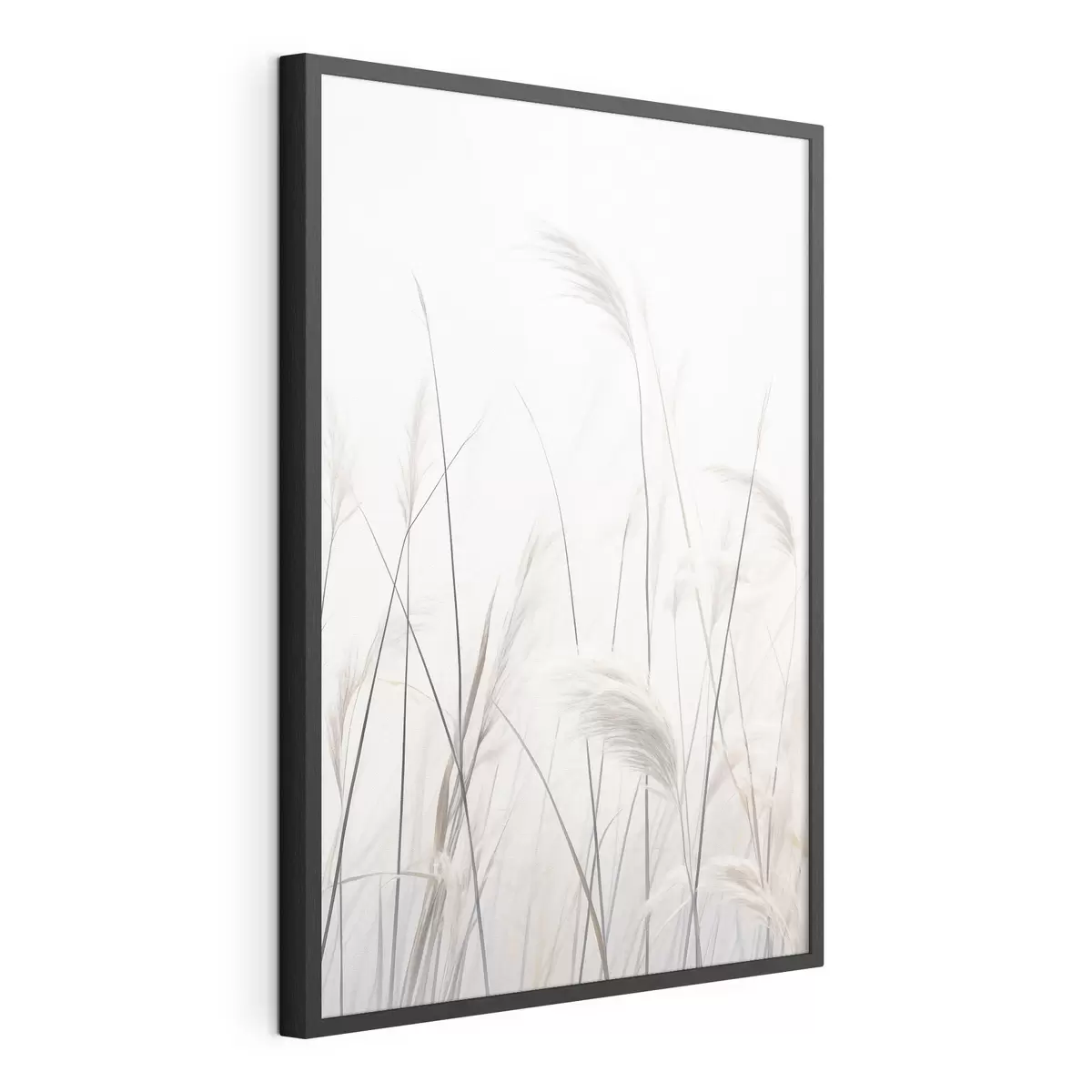 Poster Plantes sur fond clair f46883