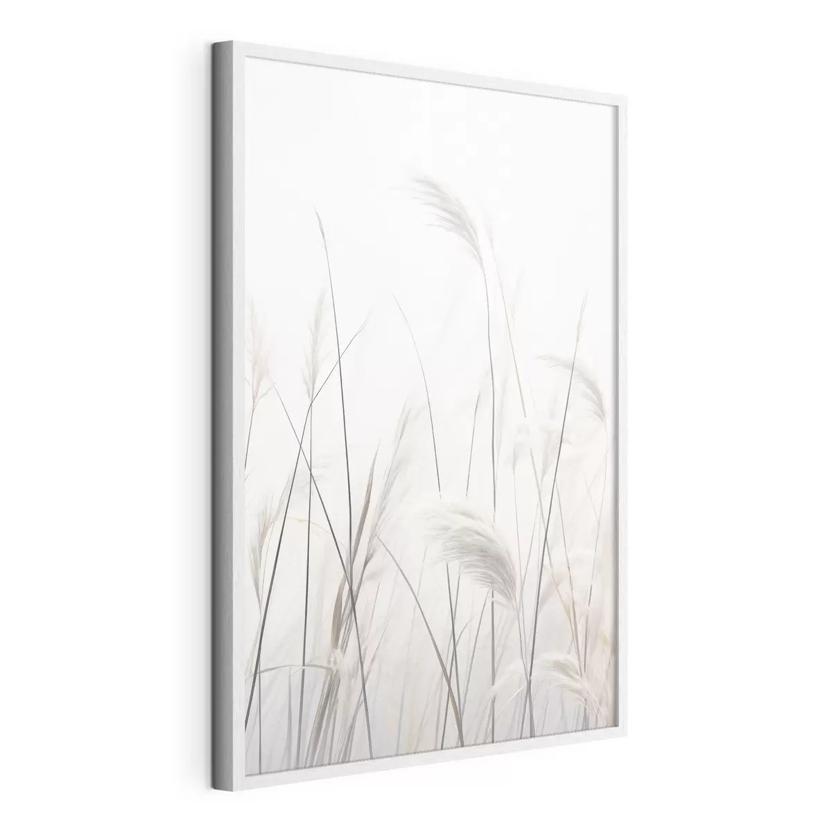 Poster Plantes sur fond clair f46883
